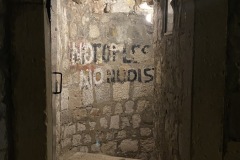 IMG_2829
