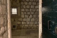 IMG_2833