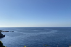 IMG_2900