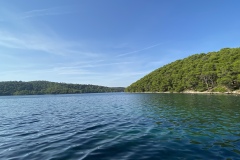 IMG_3295