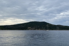 IMG_3799