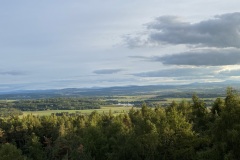IMG_3980