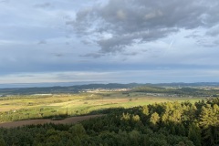 IMG_3981