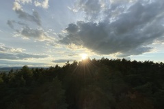 IMG_3993