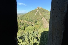 IMG_4335