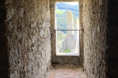 IMG_8887