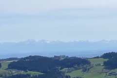 IMG_8906