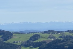 IMG_8907