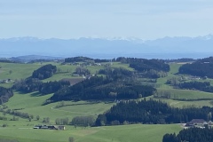 IMG_8913