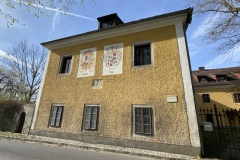 IMG_8951