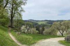 IMG_9257