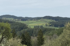 IMG_9258