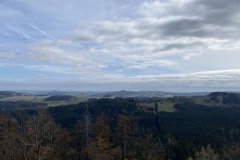 IMG_4266