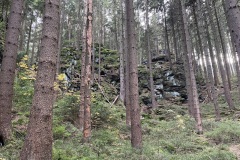 IMG_4343