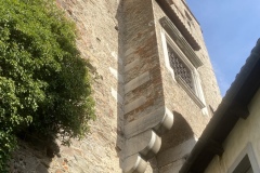 IMG_4421