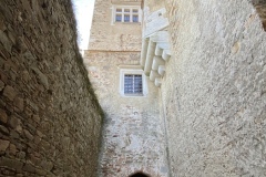 IMG_4425