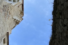 IMG_4455