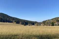 IMG_4565