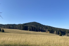 IMG_4566