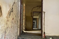 IMG_6059