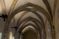 IMG_6220
