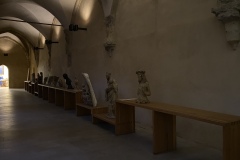 IMG_6235