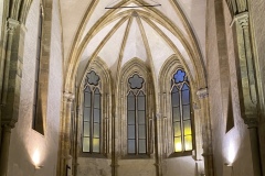 IMG_6251