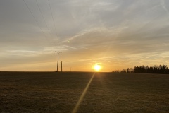 IMG_6746