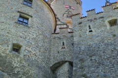 IMG_8544