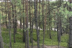 IMG_0151