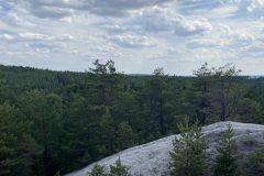 IMG_0155