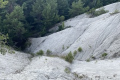 IMG_0180