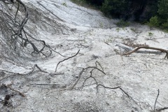 IMG_0189