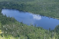 IMG_0548