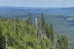 IMG_0554