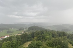 IMG_0953