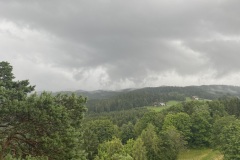 IMG_1012