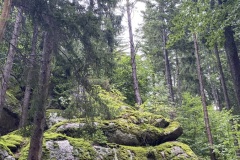 IMG_1040