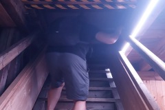 ad1fbc04-1bdb-496a-baee-dfec76b37ff0