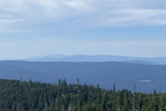 IMG_1299