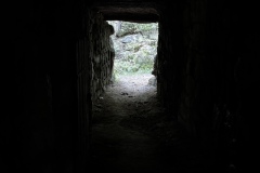 IMG_2862
