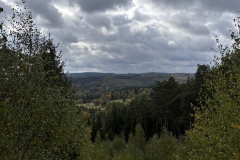 IMG_2879