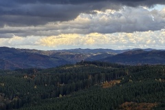 IMG_3271