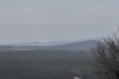 IMG_3668