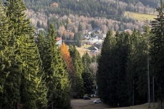 IMG_3692