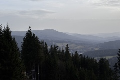 IMG_3695