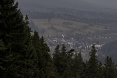 IMG_3740