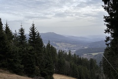 IMG_3743