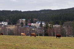 IMG_3744