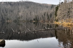 IMG_3780